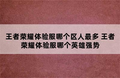 王者荣耀体验服哪个区人最多 王者荣耀体验服哪个英雄强势